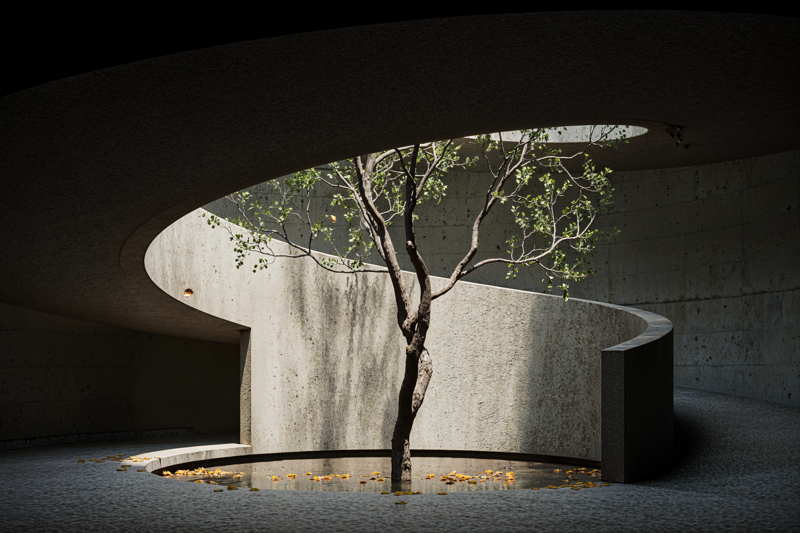 Spiral House architectural visualisation